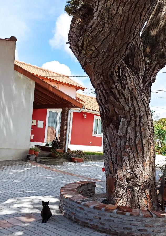 Casa De Campo A 5 Minutos Da Praia Atouguia Da Baleia Εξωτερικό φωτογραφία